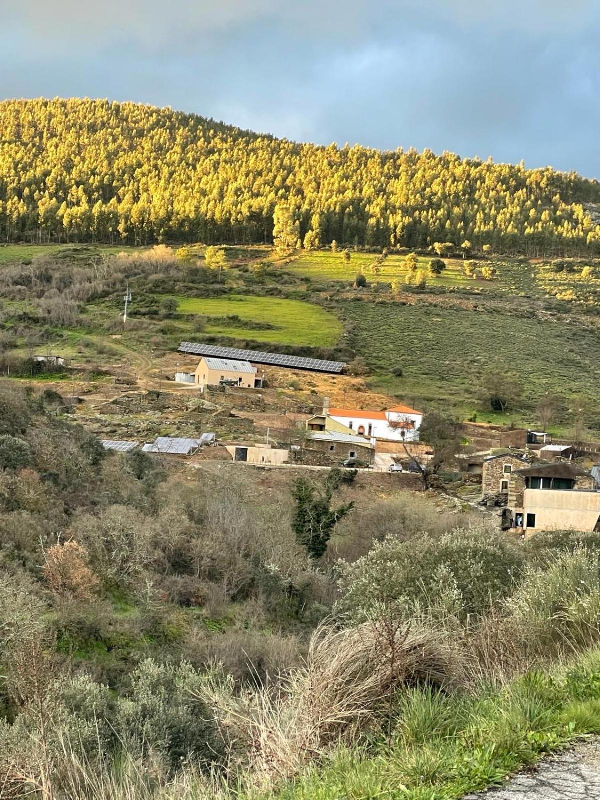Colmeal Countryside Hotel Figueira de Castelo Rodrigo Dış mekan fotoğraf