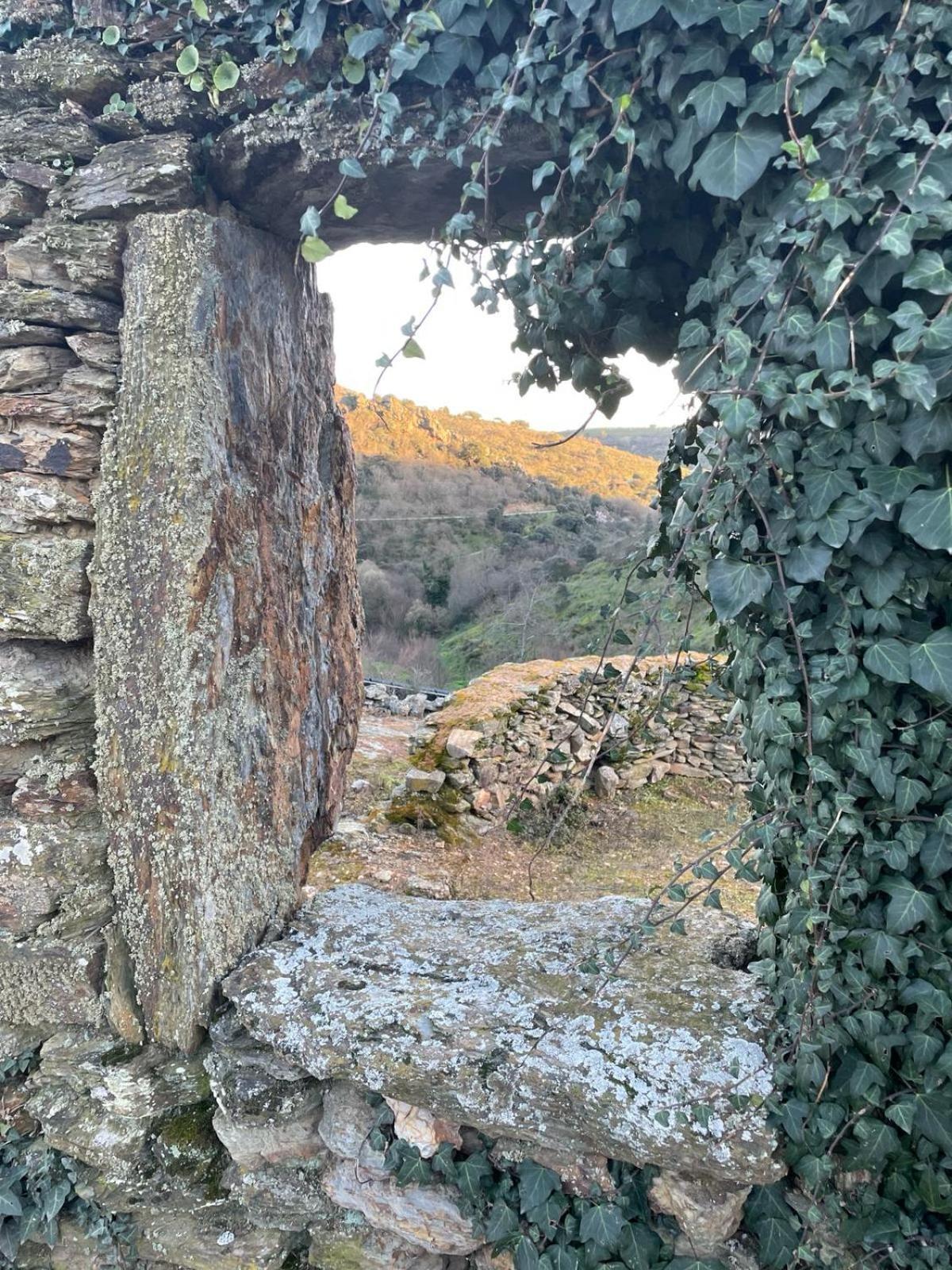 Colmeal Countryside Hotel Figueira de Castelo Rodrigo Dış mekan fotoğraf